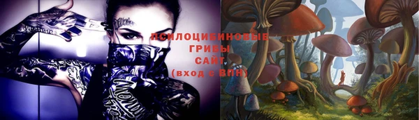 винт Аркадак