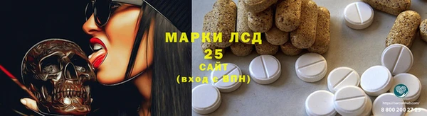 винт Аркадак