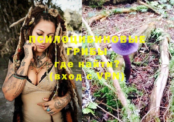 винт Аркадак