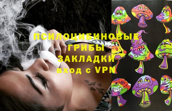 винт Аркадак