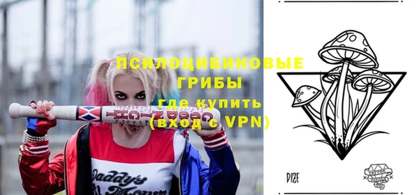 винт Аркадак