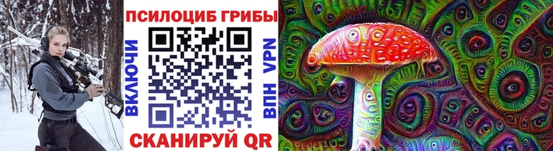 Галлюциногенные грибы Psilocybine cubensis Саяногорск