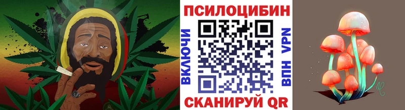 MEGA сайт  даркнет официальный сайт  Псилоцибиновые грибы мицелий  Саяногорск 